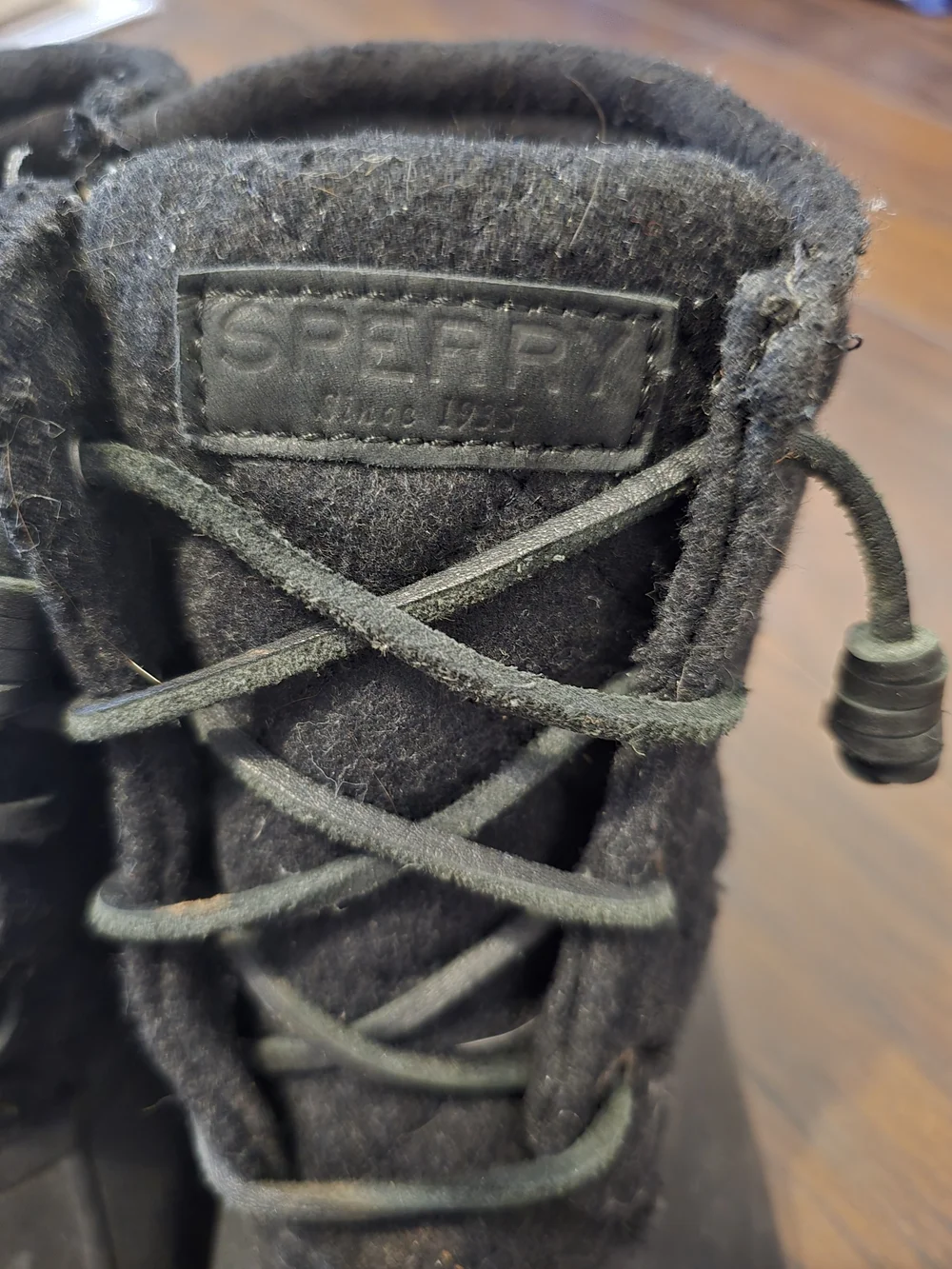 Sperry black wool